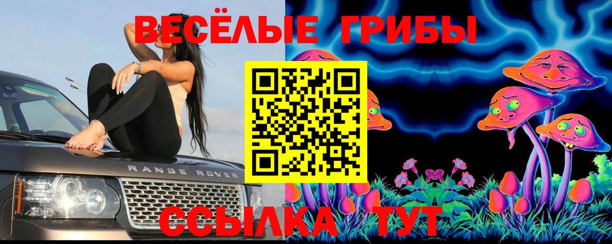 Галлюциногенные грибы GOLDEN TEACHER  Вход с VPN  Камышин 